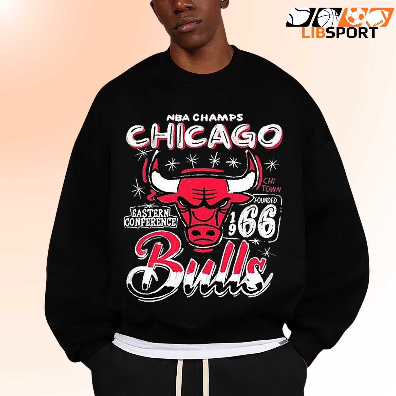 Chicago Bulls T Shirt, Vintage Basketball Tee, Streetwear Unisex Shirt